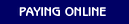 Paying online with a credit card
